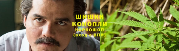 spice Арсеньев
