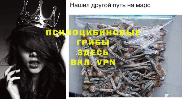 spice Арсеньев