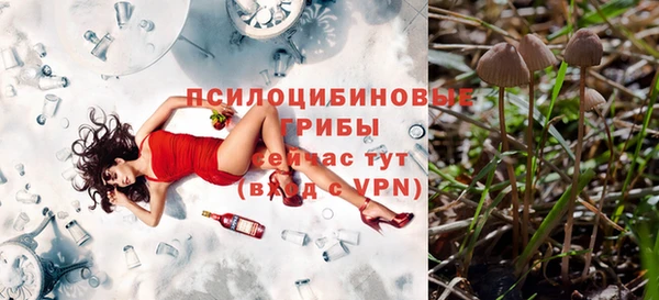 spice Арсеньев