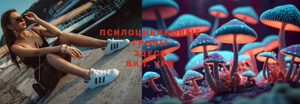 spice Армянск