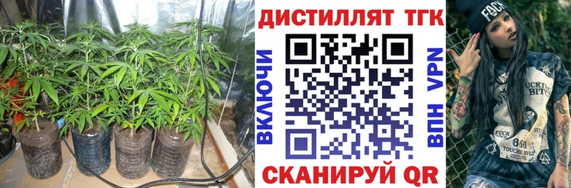 купить наркотики сайты  Фатеж  Дистиллят ТГК жижа 