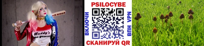 блэк спрут ССЫЛКА  Фатеж  Псилоцибиновые грибы мухоморы  купить наркотики цена 